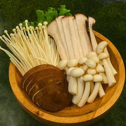 Mix grzybów